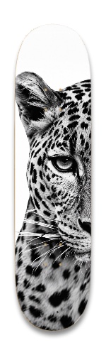 Design 690881 Skateboards, Longboards and Grip Tape Image
