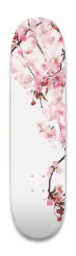 Design 691013 Skateboards, Longboards and Grip Tape Image