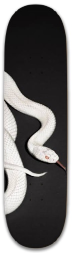 Design 691619 Skateboards, Longboards and Grip Tape Image