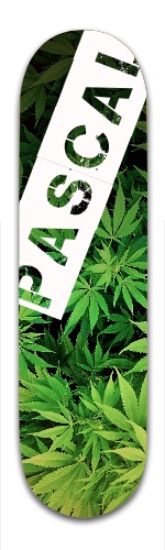 Design 72377 Skateboards, Longboards and Grip Tape Image