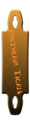 Design 78253