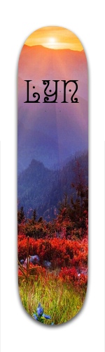 Design 82043 Skateboards, Longboards and Grip Tape Image