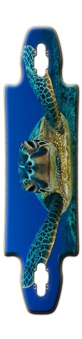 Design 82589 Skateboards, Longboards and Grip Tape