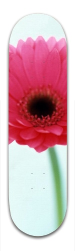 Design 84195