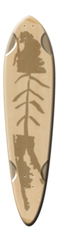 Design 84831 Skateboards, Longboards and Grip Tape