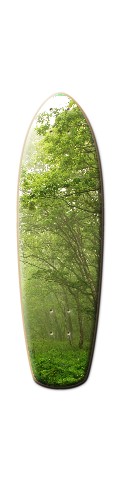 Design 87644 Skateboards, Longboards and Grip Tape Image