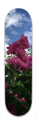 Design 88133 Skateboards, Longboards and Grip Tape Image