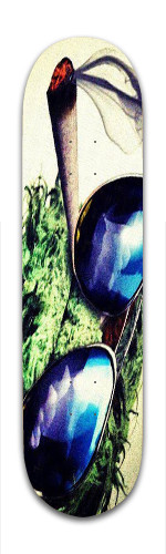 Design 91663 Skateboards, Longboards and Grip Tape