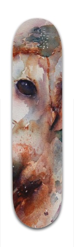 Design 92533 Skateboards, Longboards and Grip Tape