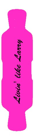 Livin&amp;#039; like Larry Skateboards, Longboards and Grip Tape Image