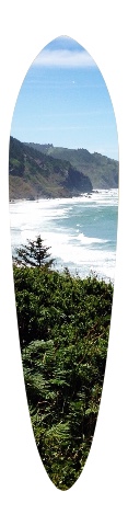 Design 97983 Skateboards, Longboards and Grip Tape