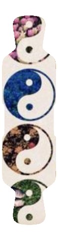 Design 98448 Skateboards, Longboards and Grip Tape