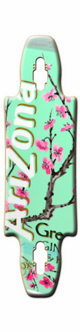Design 14036 Skateboards, Longboards and Grip Tape Image