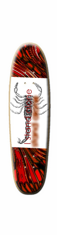 Design 3805 Skateboards, Longboards and Grip Tape