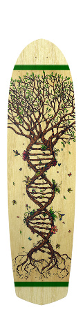 Design 27376 Skateboards, Longboards and Grip Tape