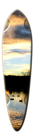 Design 26882 Skateboards, Longboards and Grip Tape