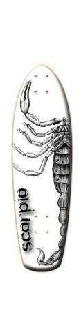 Design 34335 Skateboards, Longboards and Grip Tape