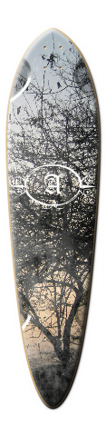 Design 35246 Skateboards, Longboards and Grip Tape