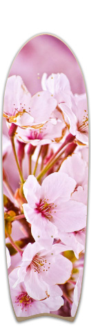 Sakura Skateboards, Longboards and Grip Tape Image