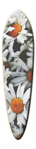 Design 36677 Skateboards, Longboards and Grip Tape