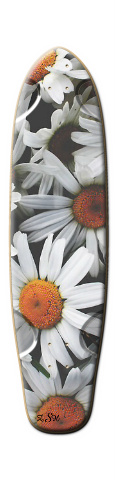 Design 36673