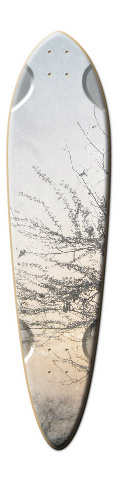 Design 31943 Skateboards, Longboards and Grip Tape Image