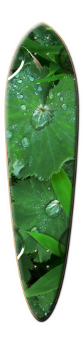 Design 42618 Skateboards, Longboards and Grip Tape Image