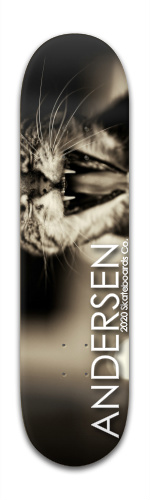 Design 42775