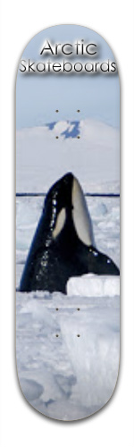 Orca