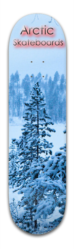 Arctic Forest
