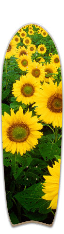 Design 45834