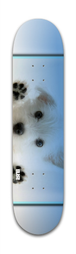 Design 40052 Skateboards, Longboards and Grip Tape Image