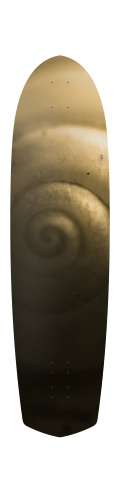 Design 40677 Skateboards, Longboards and Grip Tape