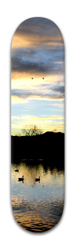 Design 40629 Skateboards, Longboards and Grip Tape