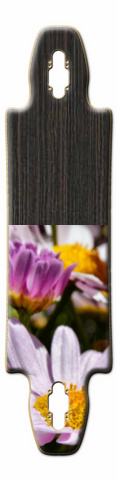 Design 61567 Skateboards, Longboards and Grip Tape Image