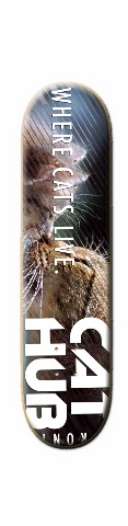Design 2820 Skateboards, Longboards and Grip Tape