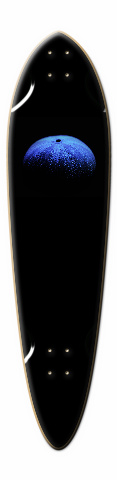 Design 4950 Skateboards, Longboards and Grip Tape