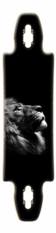 Design 6209 Skateboards, Longboards and Grip Tape