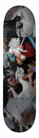 patricks board Skateboards, Longboards and Grip Tape Image