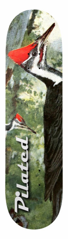 Design 6412 Skateboards, Longboards and Grip Tape Image