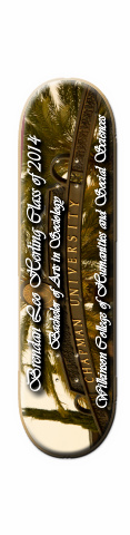 Design 6568 Skateboards, Longboards and Grip Tape