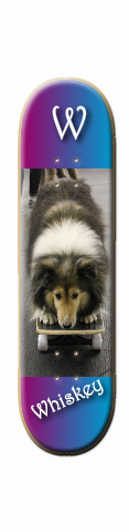 Design 6529 Skateboards, Longboards and Grip Tape