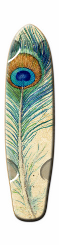 Design 5145 Skateboards, Longboards and Grip Tape