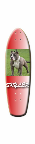 Design 8525 Skateboards, Longboards and Grip Tape
