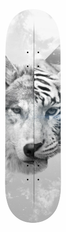 Design 5493 Skateboards, Longboards and Grip Tape Image