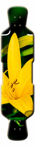 Design 10113 Skateboards, Longboards and Grip Tape Image