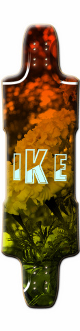 Design 11613 Skateboards, Longboards and Grip Tape Image