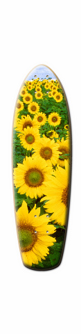Design 11635 Skateboards, Longboards and Grip Tape