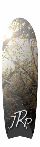 Design 9593 Skateboards, Longboards and Grip Tape Image