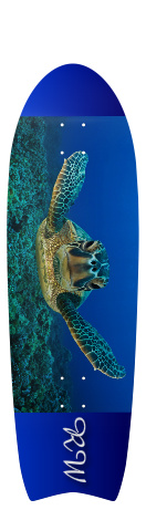 Design 13782 Skateboards, Longboards and Grip Tape Image